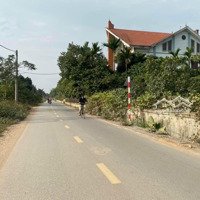 Đấu Giá Đại Tài Cũ Còn Duy Nhất Một Lô Góc Nở Hậu Trục Chính Đường Đh 20