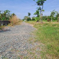 Chính Chủ Cần Bán Đất Diện Tích: 2600M2 Có Sẵn 200M2 Thổ Cư, Đường Xe Tải.