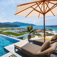 Bán Biệt Thự Biển Đẳng Cấp Tại Nha Trang Diện Tích 440M², View Biển Cực Đẹp