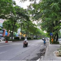 Cho Thuê Nhà Mặt Phố Láng Hạ 5 Tầng, Diện Tích 200M2/1 Tầng