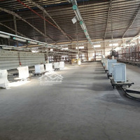 Cho Thuê Xưởng Trong Kcn Mp 1, Bình Dương