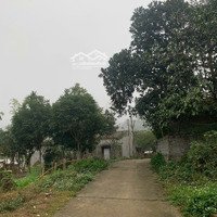 Bán Nhanh Giá Đầu Tư 2 Triệu/M2 Với 1000 M2 Tại Xã Lâm Sơn, Lương Sơn, Hoà Bình
