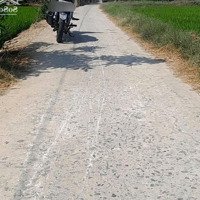 Bán Đất Tân Trung, Tp Gò Công, Tiền Giang, Giá Bán 1,35 Tỷ,Diện Tích1414M2 (18.5 X72M), Nở Hậu 21M, Sổ Hồng