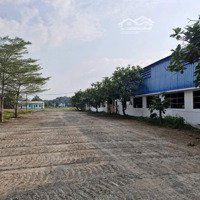 Cho Thuê Xưởng Phú An, Bến Cát, Bình Dương