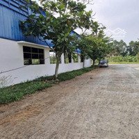 Cho Thuê Xưởng Phú An, Bến Cát, Bình Dương