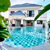 Bán Biệt Thự Biển Cao Cấp Vũng Tàu, Vị Trí Đồi Ngọc Tước View Biểndiện Tích365M2 Giá Bán 33 Tỷ Thương Lượng