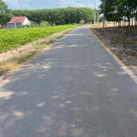 Bán Đất 400M2 Tại Thị Trấn Dầu Tiếng, Sẵn Thổ Cư, View Đẹp