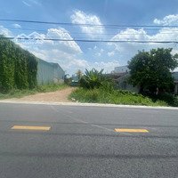 Bán Đất 236M2 Mặt Tiền Đường Thích Thiện Hoà, Xã Lê Minh Xuân Bình Chánh, Tphcm Dt: Ngang 6M Dài 40