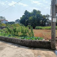 Cho Thuê Mảnh Đất 726 M2 Vuông Vắn Tại Thôn Đông Nam, Xã Nam Phương Tiến, Chương Mỹ 3,5 Triệu/Tháng