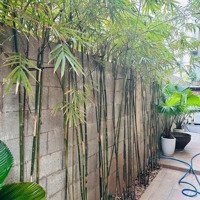 Bán Biệt Thự 3 Tầng 130M2 Ngang 9M Căn Góc Hải Châu, Đối Diện Công Viên Châu Á Chỉ Nhỉnh 11 Tỷ