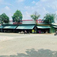 Tuổi Cao Nên Về Đà Lạt Định Cư Cần Bán Nhanh Lô Đất, Gần Công Viên