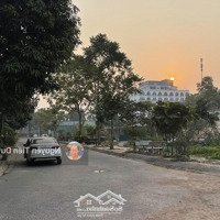 Bán Góc Biệt Thự Nam Đầm Vạc Giá Rẻ Nhất Khu 197M2 Dân Cư Đông, Ở Hay Kinh Doanh Đầu Tư Đều Đẹp