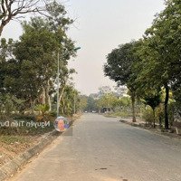 Bán Góc Biệt Thự Nam Đầm Vạc Giá Rẻ Nhất Khu 197M2 Dân Cư Đông, Ở Hay Kinh Doanh Đầu Tư Đều Đẹp