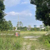 Bán Góc Biệt Thự Nam Đầm Vạc Giá Rẻ Nhất Khu 197M2 Dân Cư Đông, Ở Hay Kinh Doanh Đầu Tư Đều Đẹp