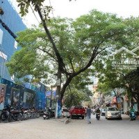 Mặt Bằng Kinh Doanh 55M2X2 Tầng,Mặt Tiền5M Phố Vũ Trọng Phụng - Thanh Xuân, Kinh Doanh Mọi Mô Hình