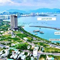 Bán Đất Tại Đường Phạm Văn Đồng, Vĩnh Hòa, Nha Trang, Giá Ưu Đãi 65 Triệu / M2, 265.4 M2