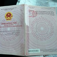 Đất Đẹp, Giá Tốt. Cơ Hội Vàng Đầu Tư: Bán Đất Thổ Cư + Vườn Tại Phú Mỹ! 0975508827