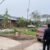 Bán Hơn 90M2 Đất Mặt Tiền 8M Ở Ngon Nghẻ Yên Tĩnh Gần Sát Vinhomes Vĩnh Phúc Giá 1.Xtỷ