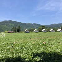 Trục Chính Hs6, Đường Phan Quang Định