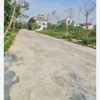 Bán Đất Nền 100M2 Tại Xã Kim Long, Tam Dương, Vĩnh Phúc, Giá Bán 1,9 Tỷ