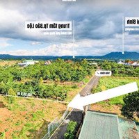 Bán 1000M2 (Có Thổ Cư) Đất Tại Chợ Lộc Đức, Bảo Lâm, Lâm Đồng, Giá Thỏa Thuận Rất Rẻ