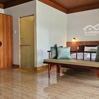 Cho Thuê Phòng Sân Vườn Bến Lức, Long An