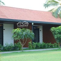 Cho Thuê Phòng Sân Vườn Bến Lức, Long An
