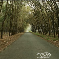 Bán Lô Đất Mặt Tiền View Hồ Dầu Tiếng Tuyệt Đẹp