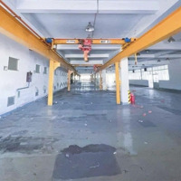 Cho Thuê Xưởng Trung Tâm Tp Biên Hoà 11.000M2