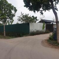 Bán đất 50 năm Thanh Trì, sổ đỏ sang tên, phù hợp trang trại nhà vườn,