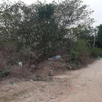 Bán đất 50 năm Thanh Trì, sổ đỏ sang tên, phù hợp trang trại nhà vườn,