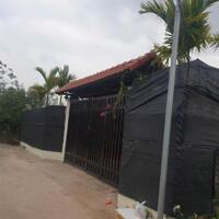 Bán đất 50 năm Thanh Trì, sổ đỏ sang tên, phù hợp trang trại nhà vườn,
