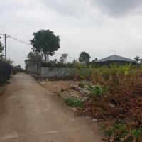 Bán đất 50 năm Thanh Trì, sổ đỏ sang tên, phù hợp trang trại nhà vườn,
