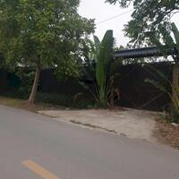 Bán đất 50 năm Thanh Trì, sổ đỏ sang tên, phù hợp trang trại nhà vườn,
