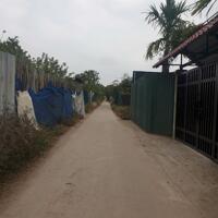 Bán đất 50 năm Thanh Trì, sổ đỏ sang tên, phù hợp trang trại nhà vườn,