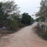 Bán đất 50 năm Thanh Trì, sổ đỏ sang tên, phù hợp trang trại nhà vườn,