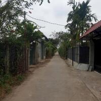 Bán đất 50 năm Thanh Trì, sổ đỏ sang tên, phù hợp trang trại nhà vườn,