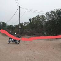 Bán đất 50 năm Thanh Trì, sổ đỏ sang tên, phù hợp trang trại nhà vườn,