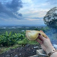 Nhượng Lại Vườn Cây Ăn Trái Có Suối Nhỏ Long Khánh Giá Chỉ 850 Triệu