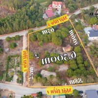 Minh Châu - 6500M2 Giá Bán 6 Triệu Tại Xã Ngọc Thanh, Phúc Yên, Vĩnh Phúc