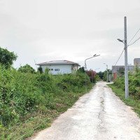 Cần Bán Đấtdiện Tích501M2 Có 296M2 Thổ Cư. Vị Trí Cách Đường Trần Quang Đạo 500M. 4.4Tỉ Thương Lượng