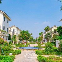 Bán Căn Biệt Thự Góc : Diện Tích 130,5M2 Sở Hữu 2 Mặt Tiền ,Đường Trục Thông Tại Kdt Vsip Từ Sơn