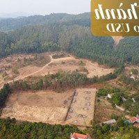 Bán Đất 3000M2 Tại Lê Duẩn, Ngọc Thanh, Phúc Yên, Vĩnh Phúc, Giá Bán 3,5 Triệu Vnd/M2