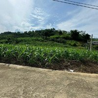 Chuyển Nhượng 12Lô Đất Tại Cao Phong Giá Chỉ Từ 210 Triệuđến 230 Triệu Lô