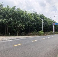 Bán Đất Mẫu Tại Thanh An, Dầu Tiếng, Bình Dương, 30,5 Tỷ, 45,352 M2, Thổ Cư 100, 2 Mặt Tiền Đường