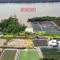Bán Đất Mặt Tiền Đường Tam Thôn Hiệp, Huyện Cần Giờ Tphcm
