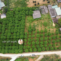 Chủ Gửi Mảnh Đất Siêu Phẩm 3000M/1000M Ont Tại Thanh Sơn, Lương Sơn Giá Rẻ Nhất Để Đầu Tư