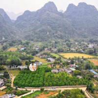 Chủ Gửi Mảnh Đất Siêu Phẩm 3000M/1000M Ont Tại Thanh Sơn, Lương Sơn Giá Rẻ Nhất Để Đầu Tư