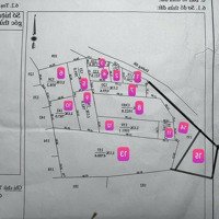Bán Đất 150000M2 Tại Xã Thạnh Đức, Gò Dầu, Tây Ninh, Giá Ưu Đãi 7,2 Tỷ
