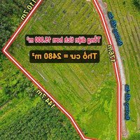 Bán Đất 150000M2 Tại Xã Thạnh Đức, Gò Dầu, Tây Ninh, Giá Ưu Đãi 7,2 Tỷ